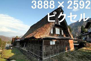 79