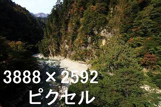 44