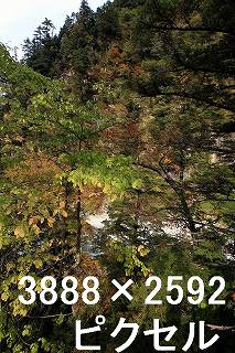 55