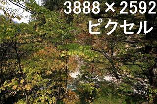 56