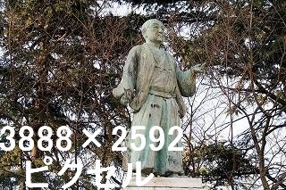 28