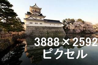 37