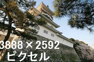 43