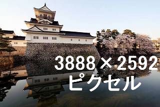 44