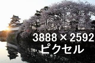 48
