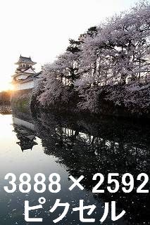 49