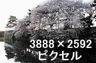 50