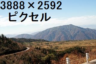 36