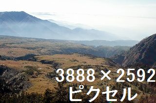 39