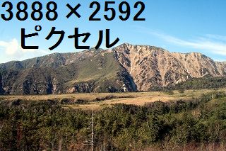 44