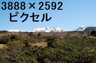53
