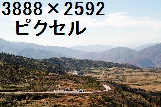 56