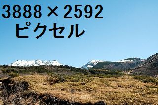 58