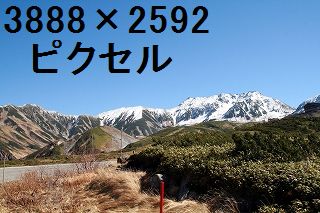 59