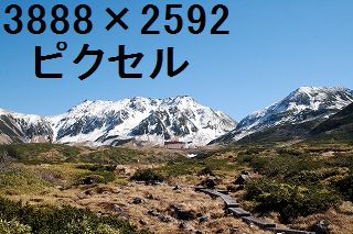 62