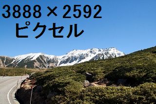 64