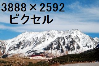 66