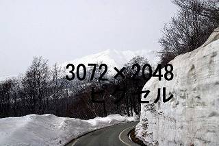 66