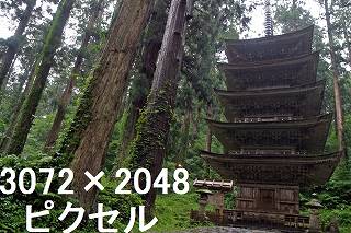 25