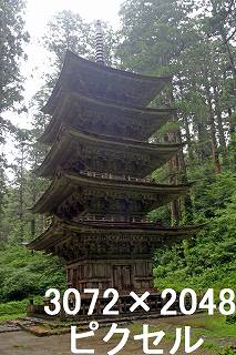 26