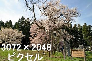 27