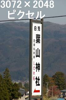 46