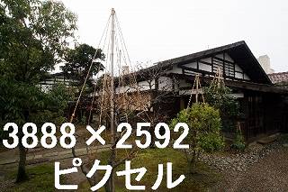 41