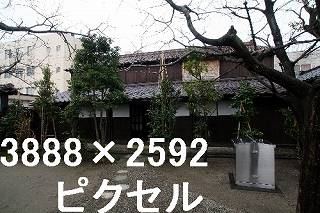 48