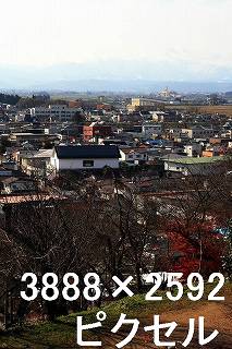29
