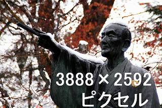 51