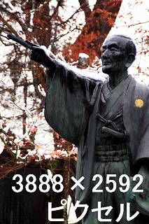 52