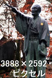 53
