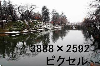 56