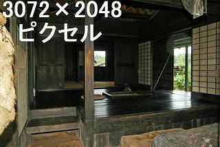 29