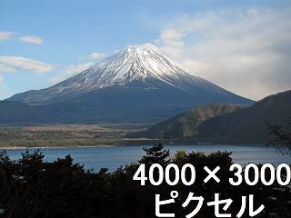 46