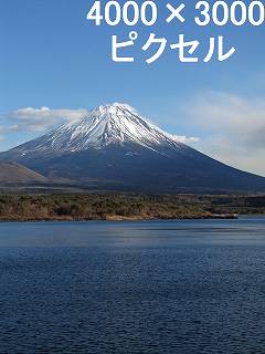 74