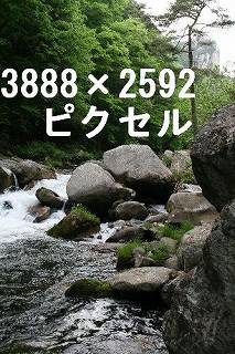 46