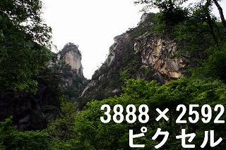 56