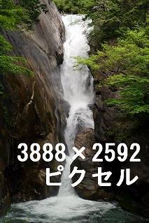80