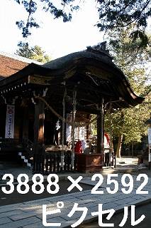 26
