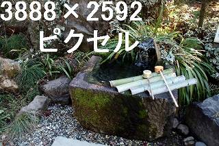 46