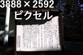 53
