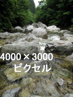 40